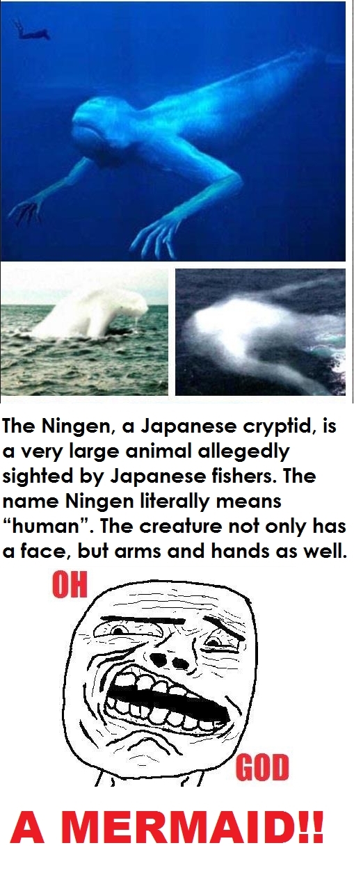 ningen